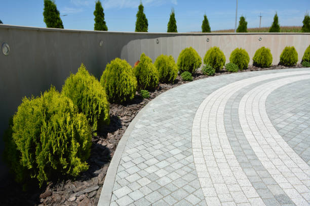 Reasons to Select Us for Your Driveway Paving Requirements in Nashville, NC